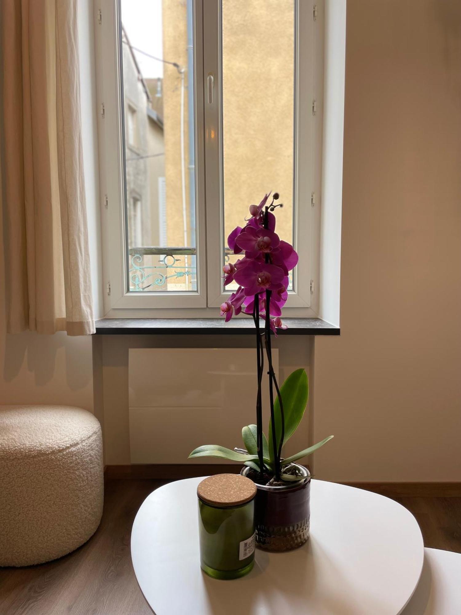 La Maison Douce ロン・ル・ソーニエ エクステリア 写真
